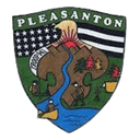Troop 941 logo