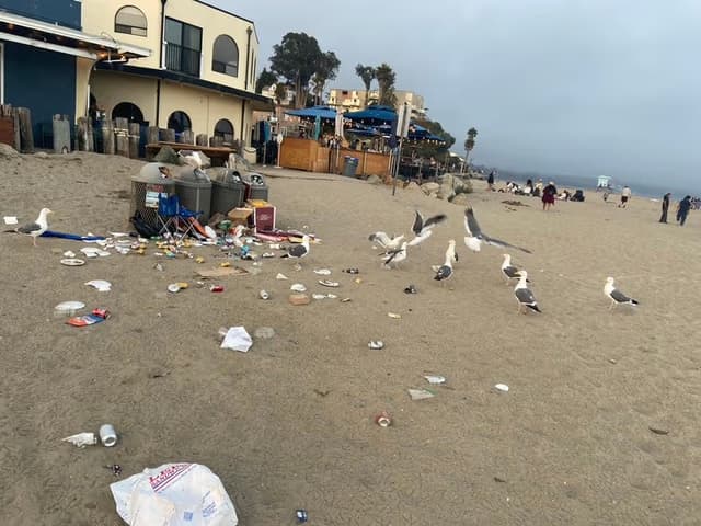 Santa Cruz Beach Boardwalk Cleanup