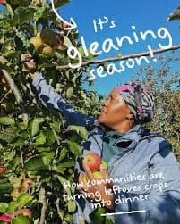 Fruit Gleaning Project